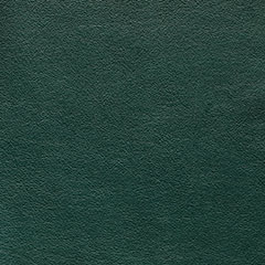 Paloma_DarkGreen Dark Green